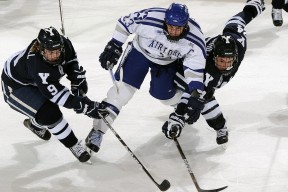 九游网页官网-威尔士橄榄球赛事转播吸引观众，市场份额逐年攀升，威尔士 球队