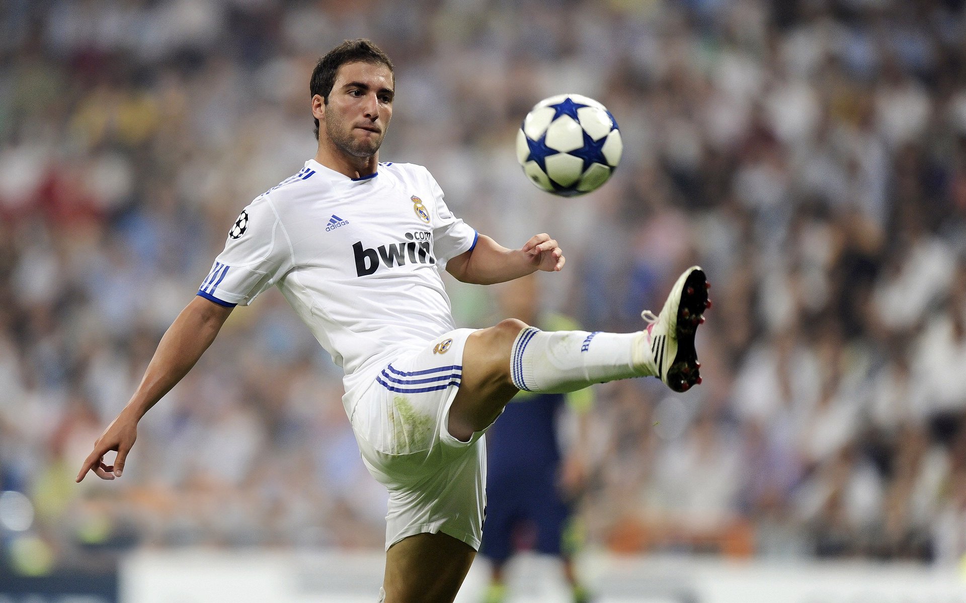 “安赫尔·巴尔博萨的力量与速度，助力美洲狮队提升竞技水平”